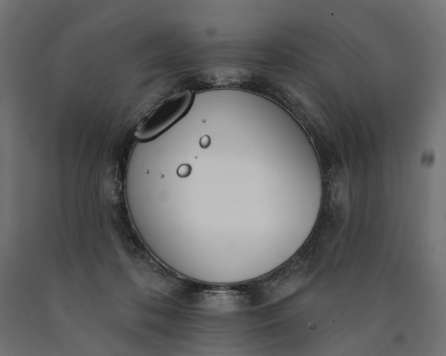 X0000090750316200708031614