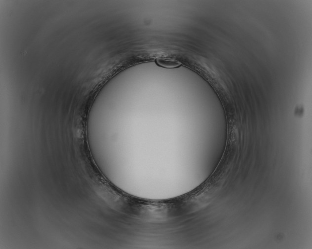 X0000090750317200708031614