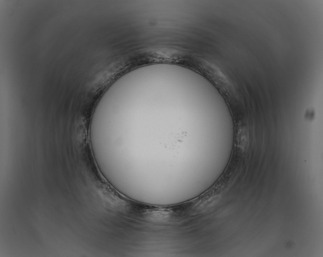 X0000090750318200708031614