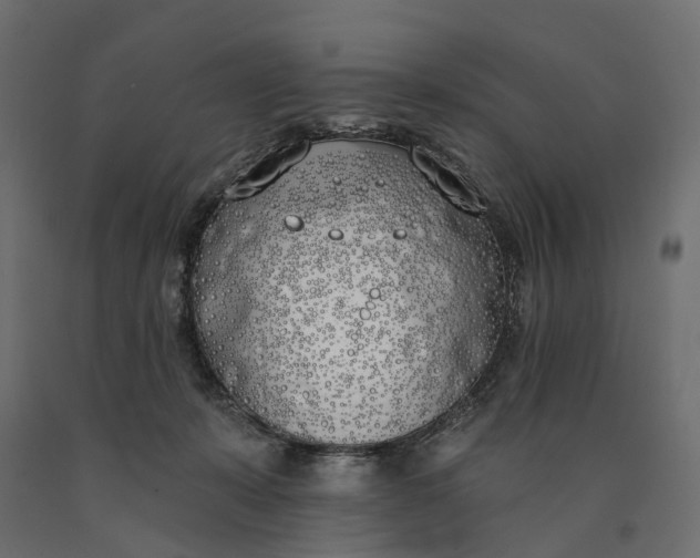 X0000090750319200708031614