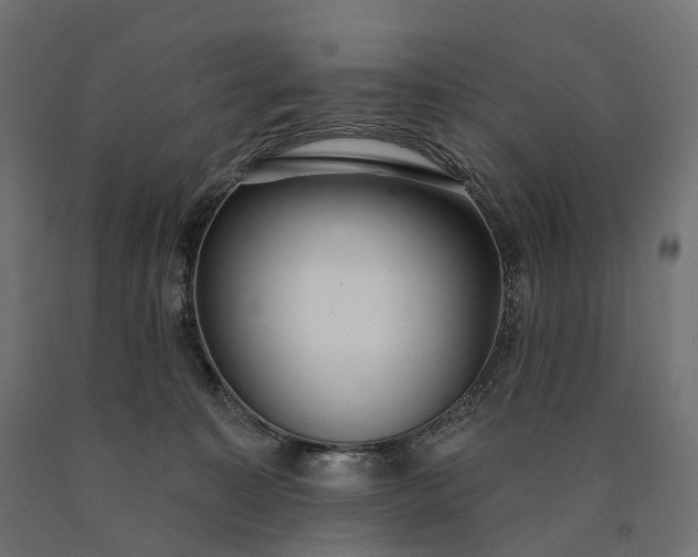 X0000090750323200708031614