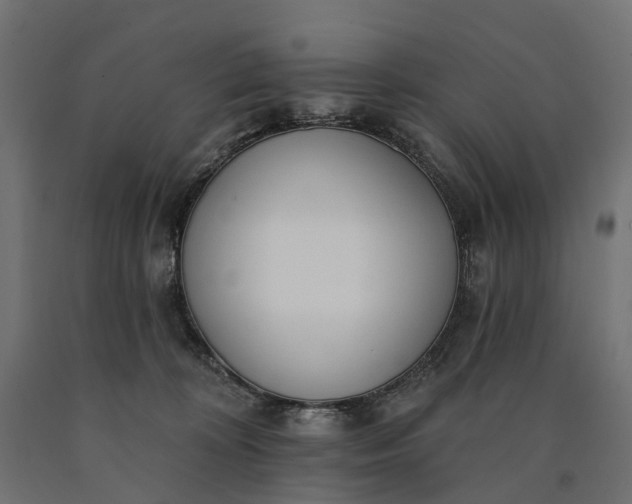 X0000090750324200708031614