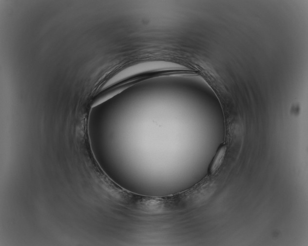 X0000090750325200708031614