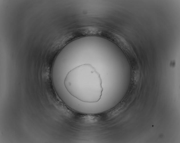 X0000090750326200708031614