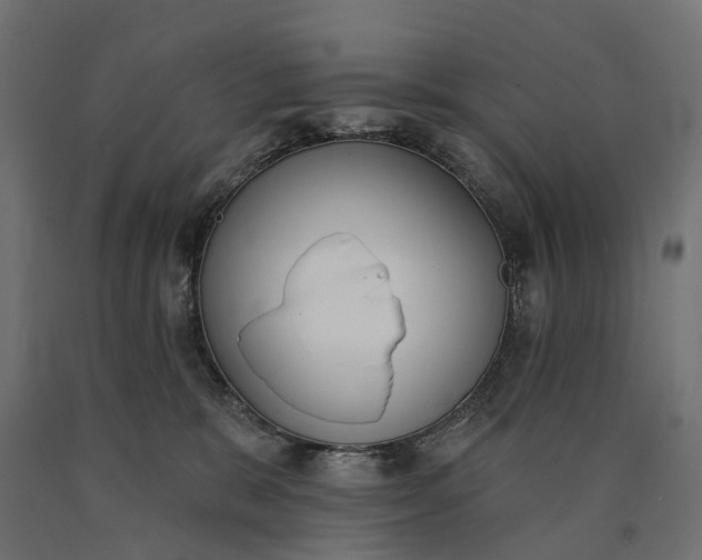 X0000090750327200708031614