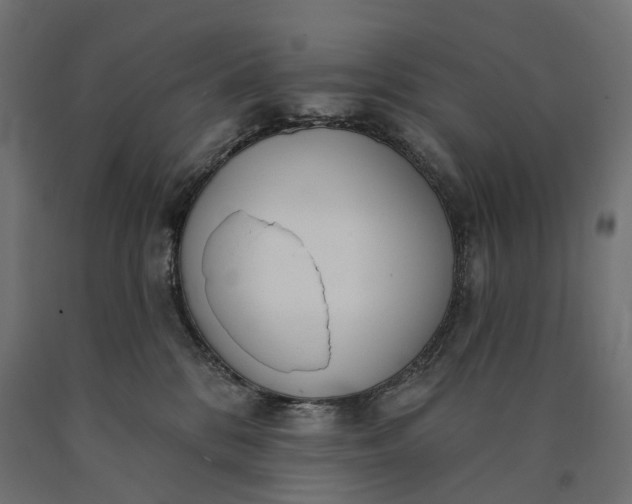 X0000090750328200708031614