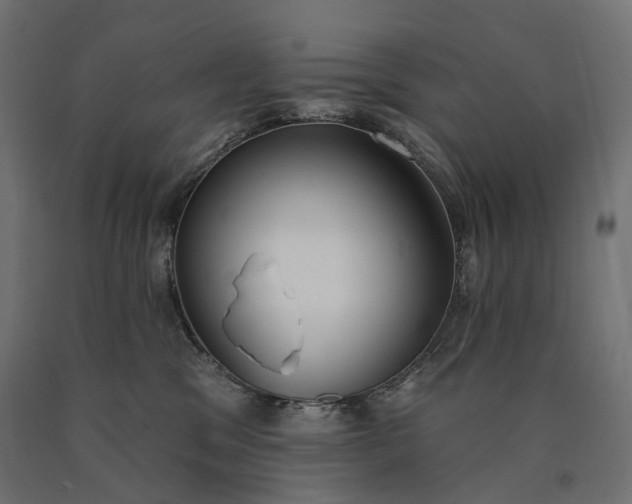 X0000090750329200708031614