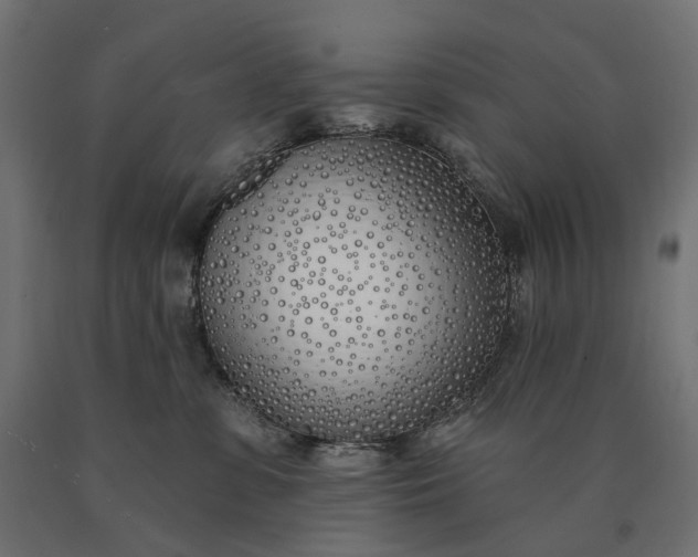 X0000090750331200708031613