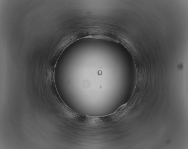 X0000090750333200708031613