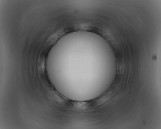 X0000090750334200708031613