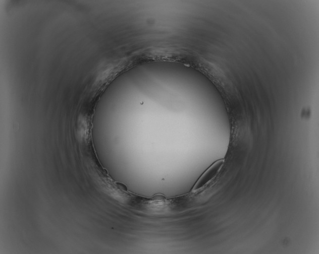 X0000090750335200708031613