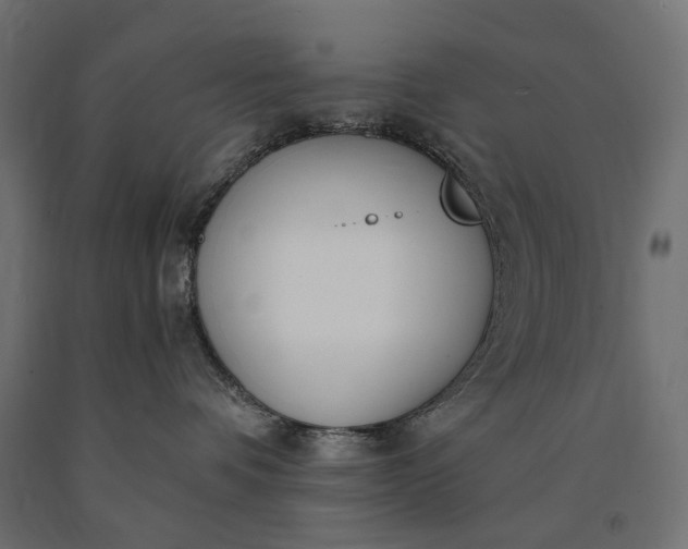 X0000090750336200708031613