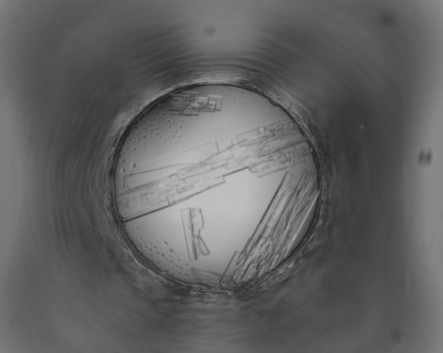 X0000090750337200708031613