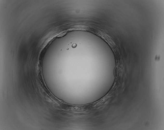 X0000090750338200708031613