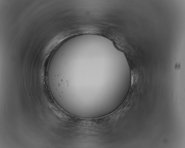 X0000090750339200708031613