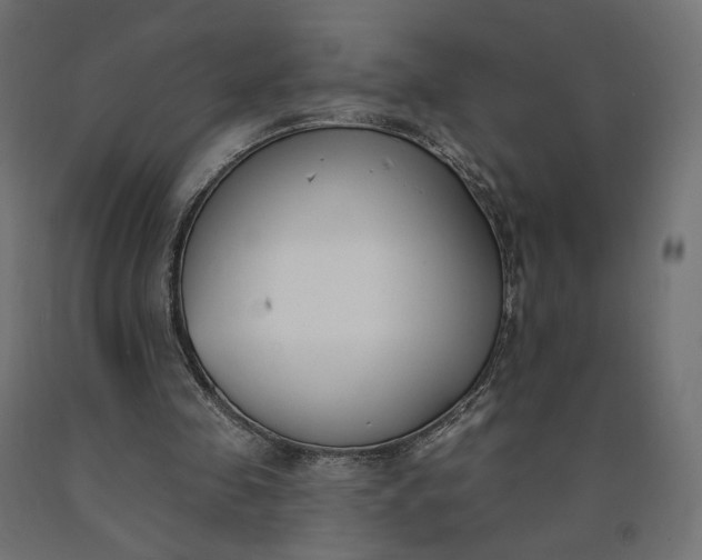 X0000090750341200708031613