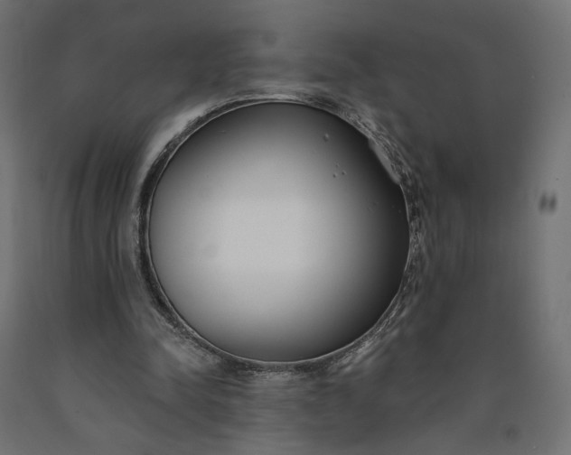 X0000090750342200708031613