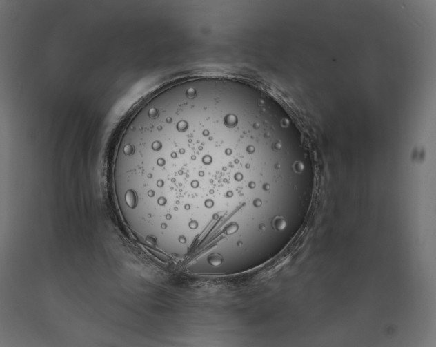 X0000090750343200708031613