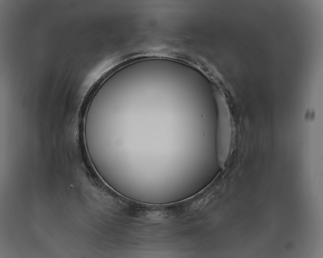 X0000090750344200708031613