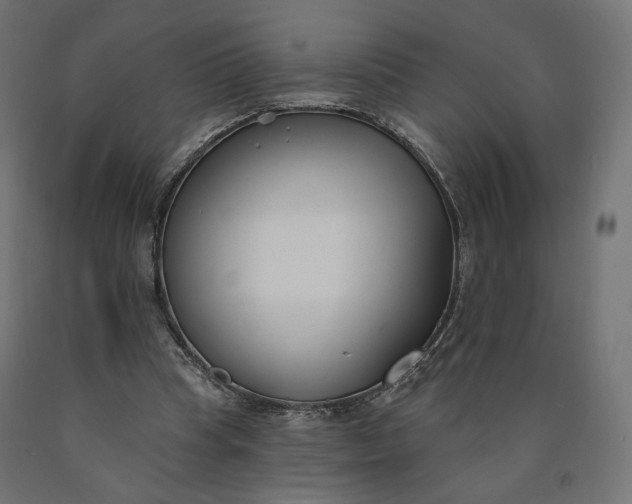 X0000090750345200708031613