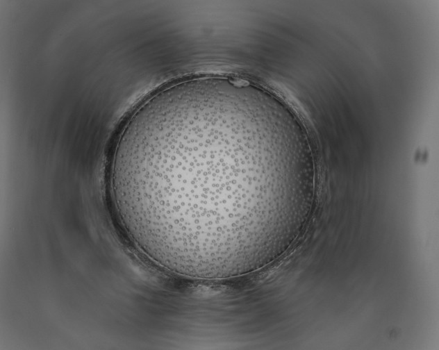 X0000090750346200708031613