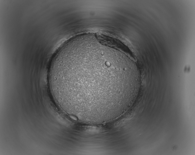 X0000090750347200708031613