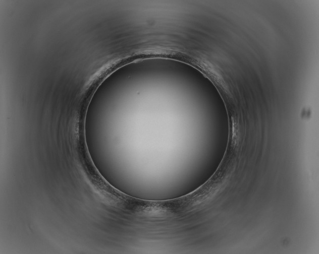 X0000090750348200708031613