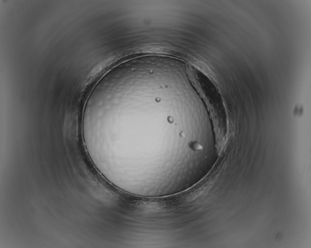 X0000090750349200708031613