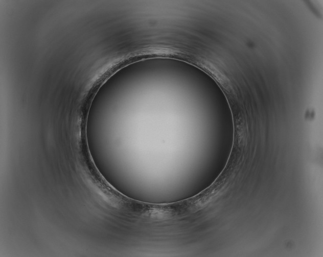 X0000090750350200708031613