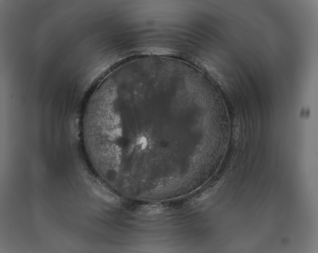 X0000090750351200708031613