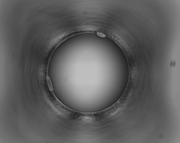 X0000090750352200708031613