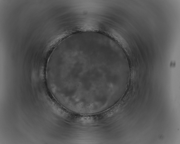 X0000090750353200708031613