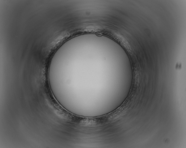 X0000090750354200708031613