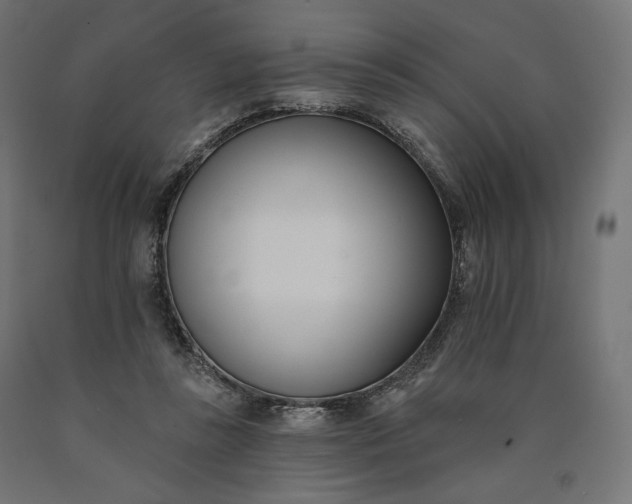 X0000090750355200708031613