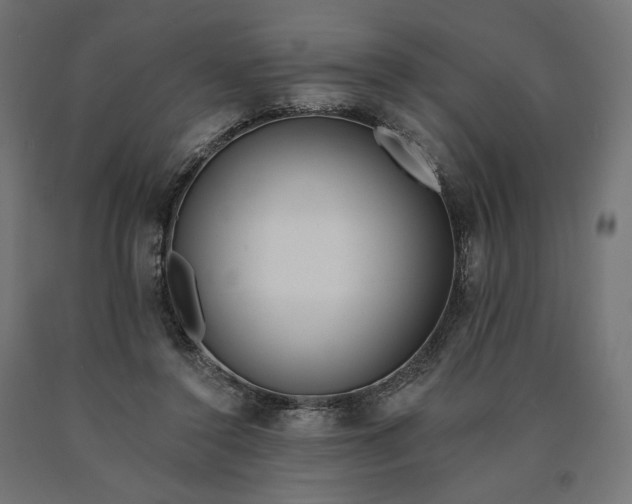 X0000090750356200708031613