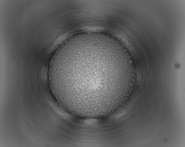 X0000090750357200708031613