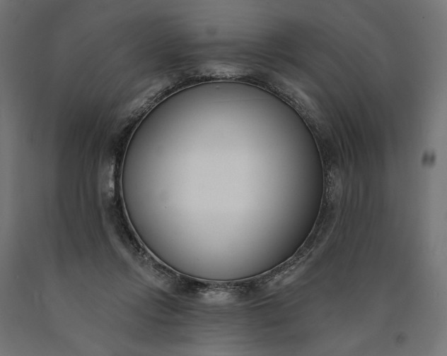 X0000090750358200708031613