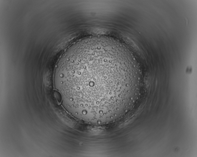 X0000090750359200708031613