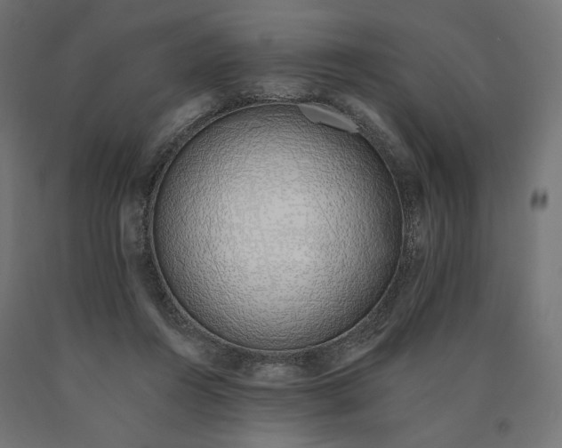 X0000090750360200708031613