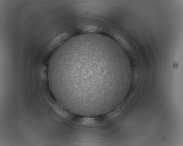 X0000090750361200708031613