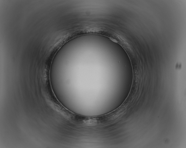 X0000090750362200708031613