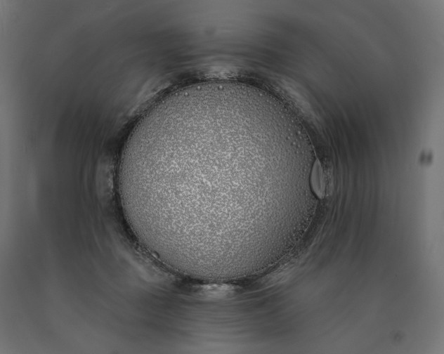 X0000090750363200708031613