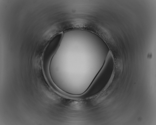 X0000090750364200708031613