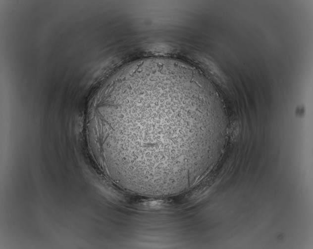 X0000090750365200708031613