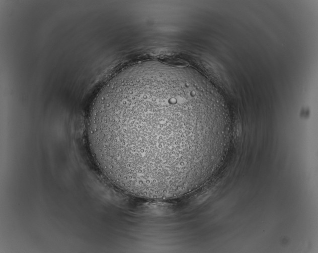 X0000090750367200708031613