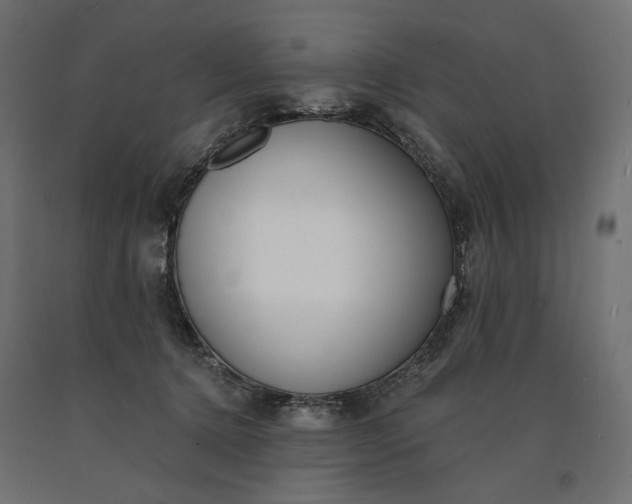 X0000090750368200708031613