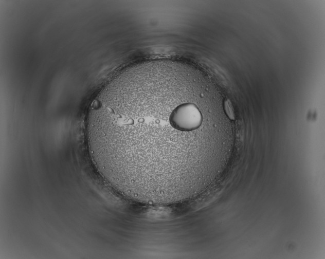 X0000090750369200708031613