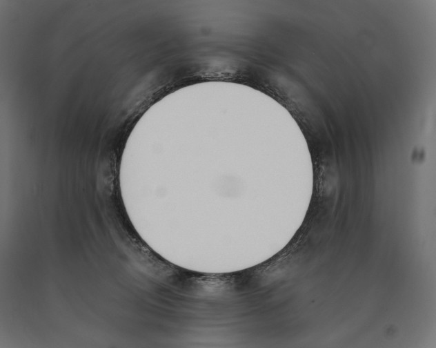 X0000090750370200708031613