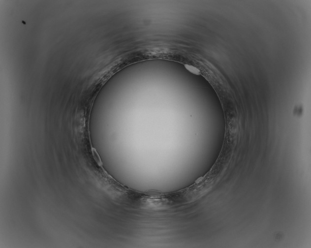 X0000090750372200708031613