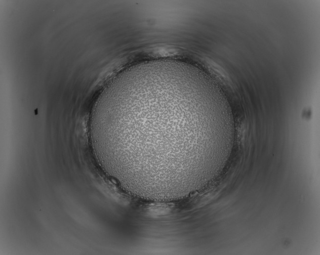 X0000090750373200708031613